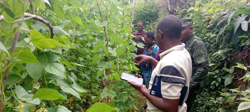 Farmer Field School training